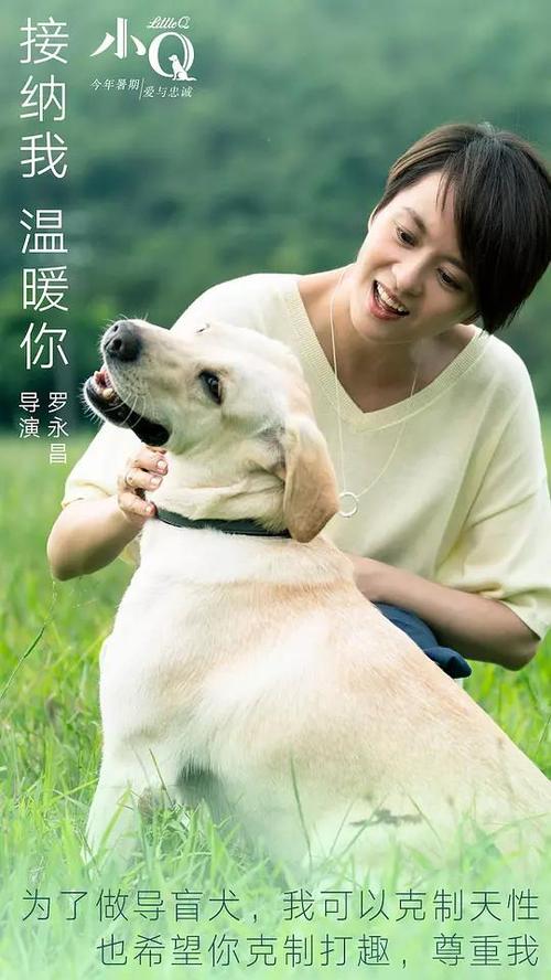 办理德累斯顿工业大学假文凭假毕业证